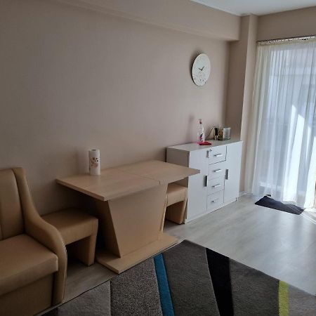 Apartament Mon Jardin - Iasi Appartement Buitenkant foto